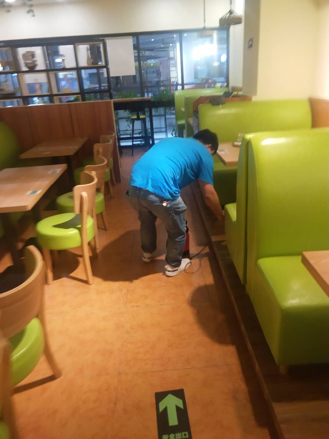 广州专业灭除蟑螂?