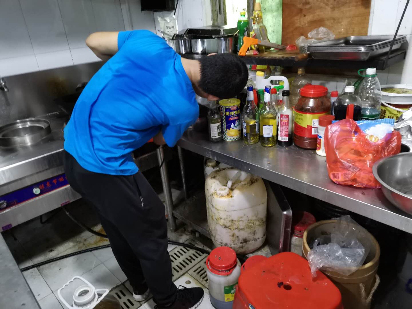 广州白云区灭蟑螂公司