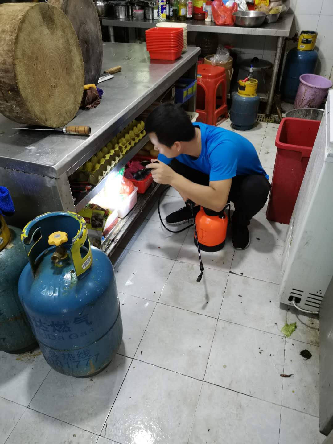 广州白云区蟑螂怎么消杀呢？