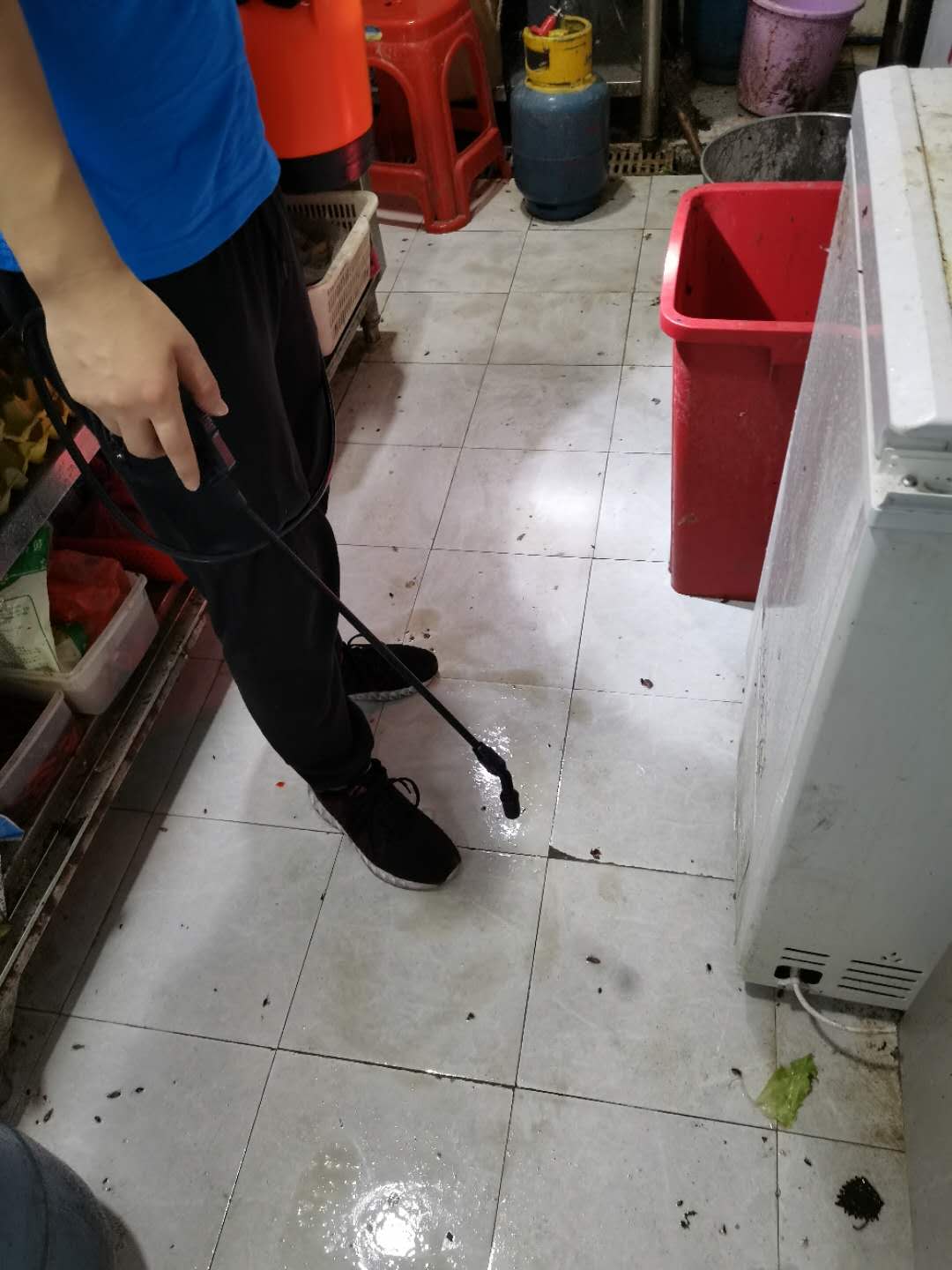 洗衣粉水能灭蚂蚁吗？