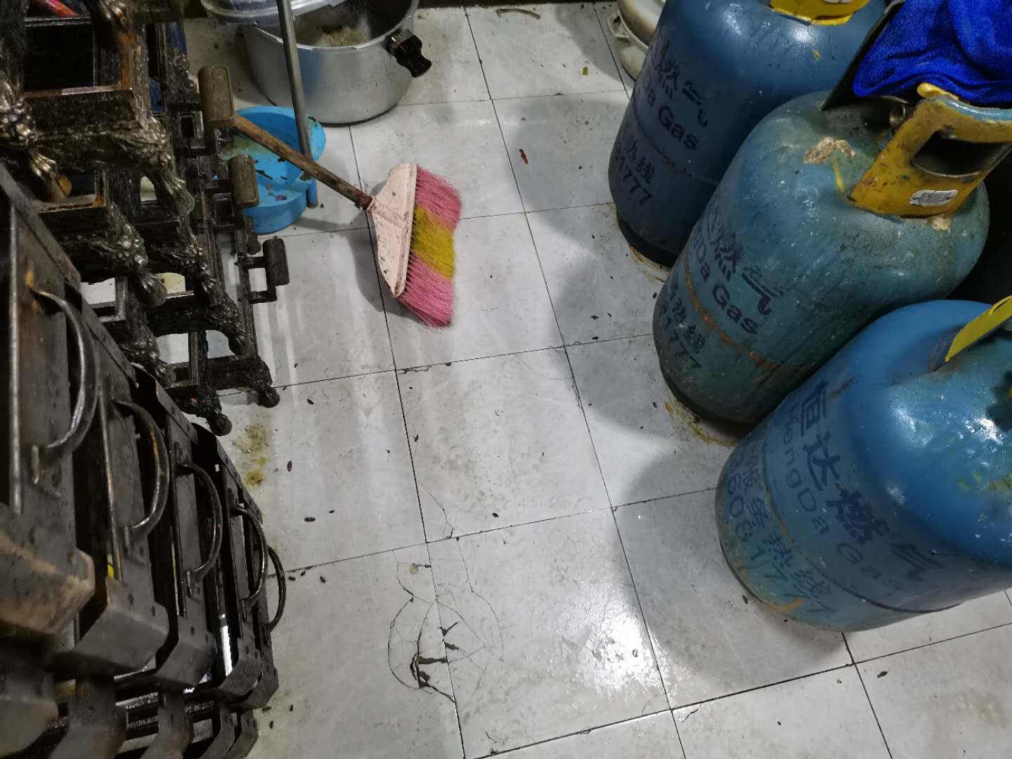 广州白云区灭蟑螂的办法？