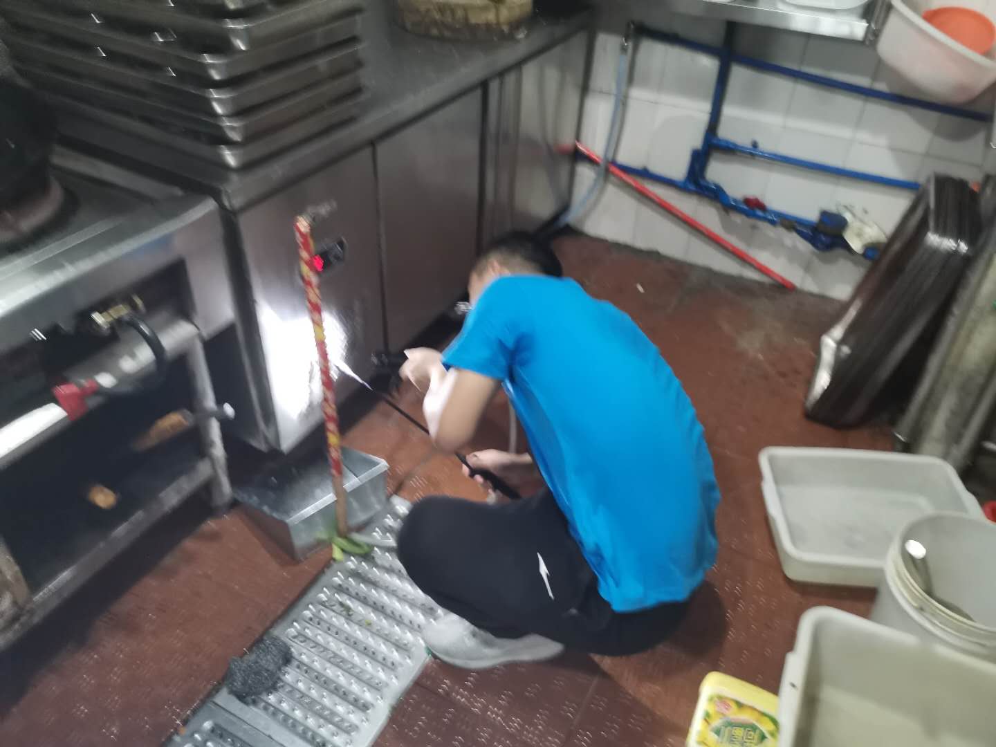 怎样杀死家里的蟑螂和臭虫?