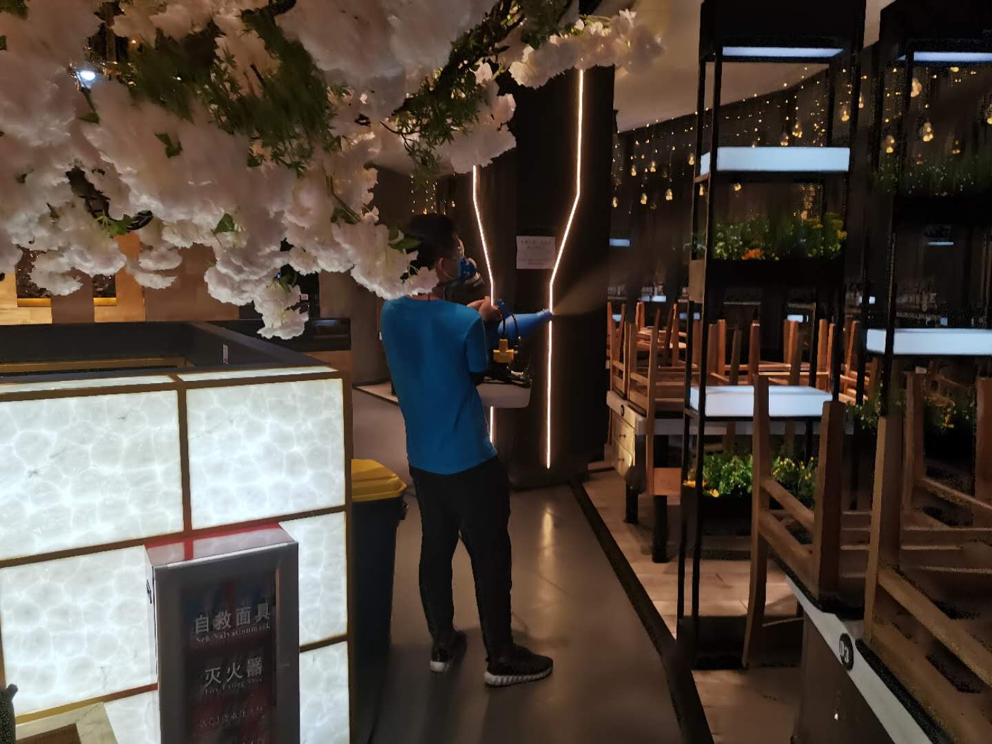 广州灭蟑螂颗粒