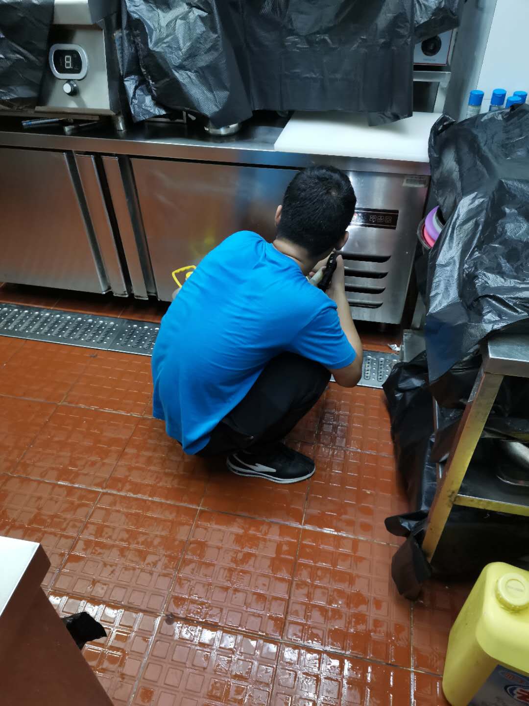 怎样科学消灭蟑螂？