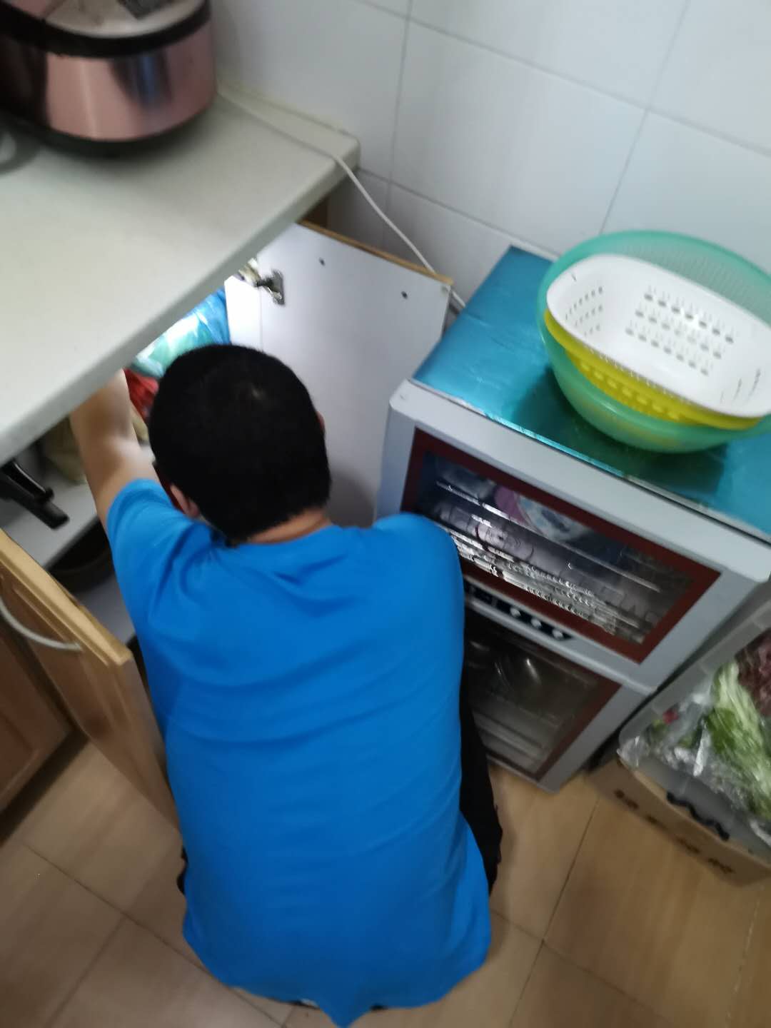 苍蝇怕什么