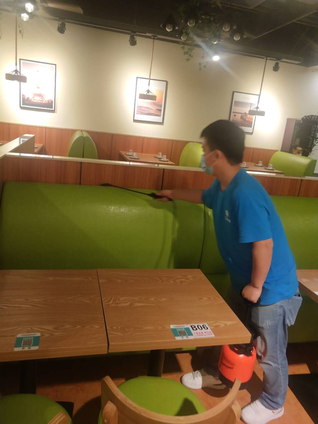为什么苍蝇不生病?