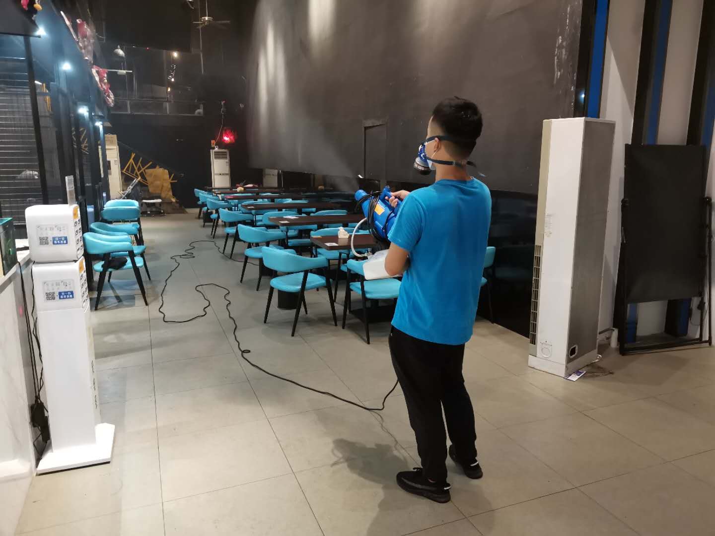 怎么样除去蚂蚁蟑螂老鼠?