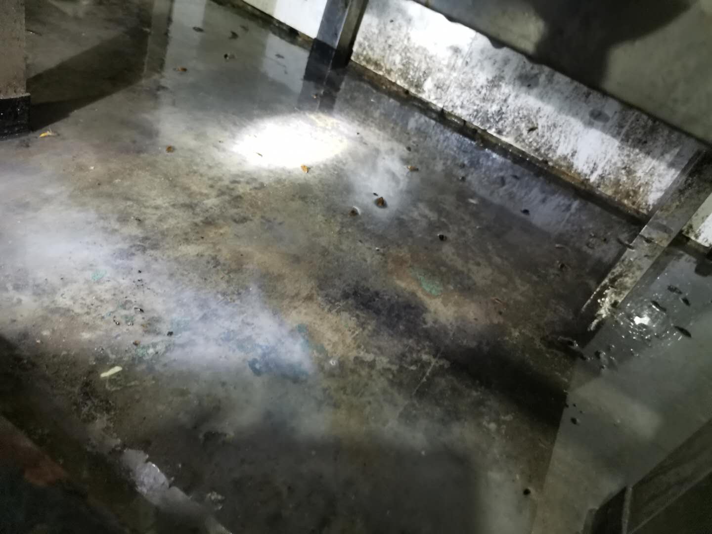 厨房除蟑螂最有效的方法？