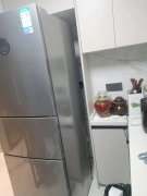 普通家庭灭蟑螂