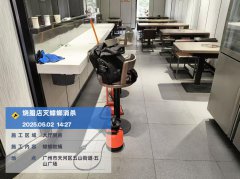 广州市天河区饭店蚊蝇消杀